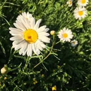 Meet your Posher, Jenn